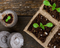 🪴Urban Organic Gardener's Monthly Seed Club 🌿 PRO