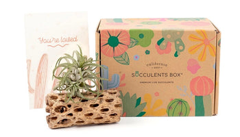 Image of The Best Gardening Subscription Boxes: Seeds, Plants, Succulents, Oh My!