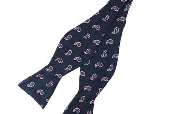 Party Paisley (ST) Bow Tie